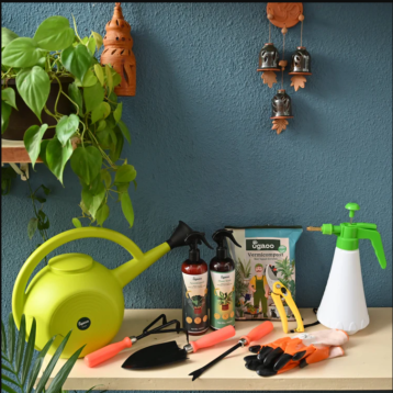 Outdoor Gardening Kit