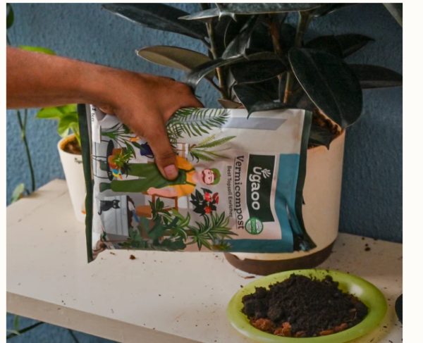 Outdoor Gardening Kit - Image 2