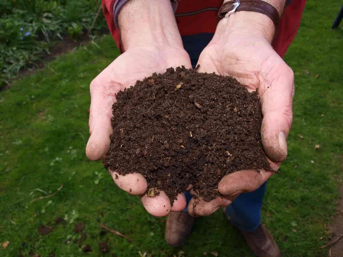 Vermicompost mixture