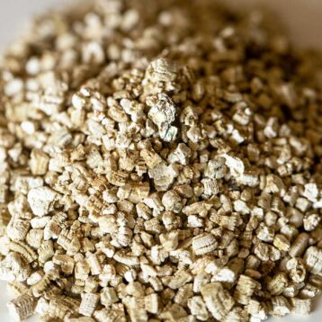 Vermiculite
