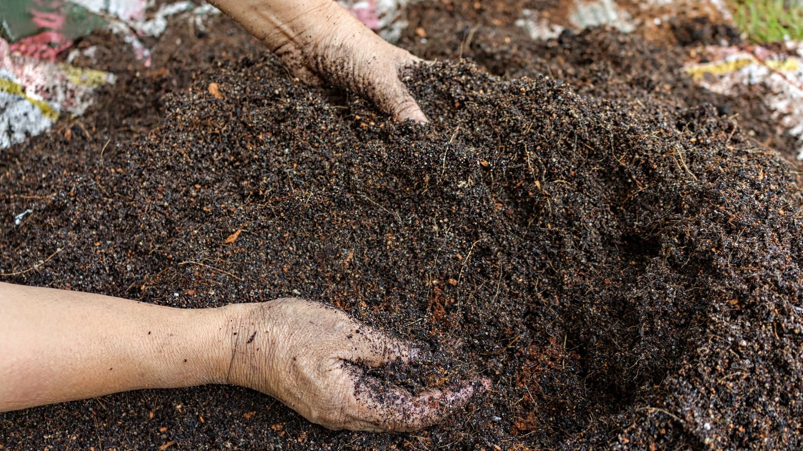 fruit plant mixture