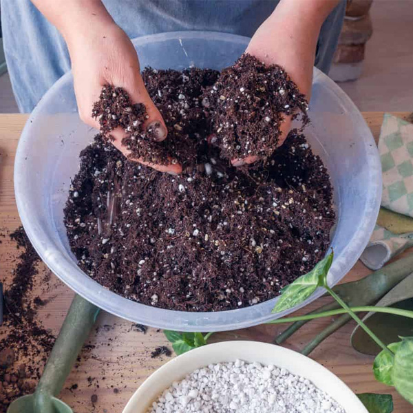 indoor mixture