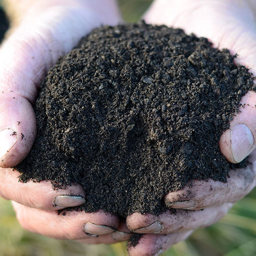 organic compost