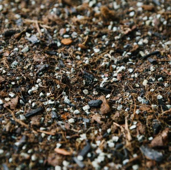 terrarium mixture