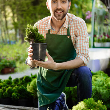 Weekly Care – Maali Service