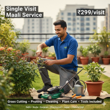 🌱 Single Visit – One-Time Maali Service