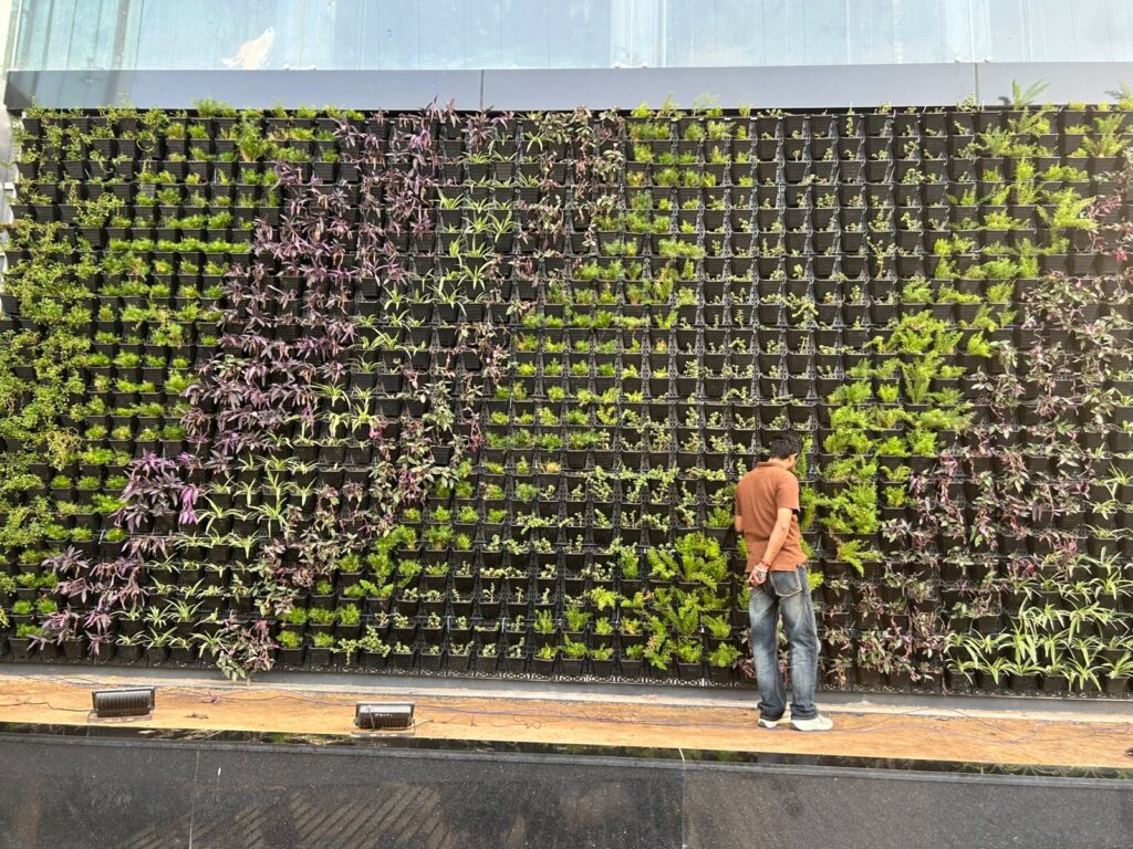 vertical garden