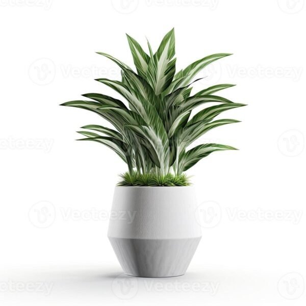 Diffen White Flame