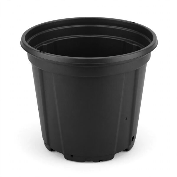 black 12"