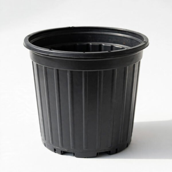 black 16"