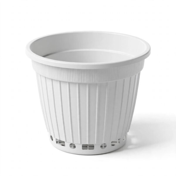 GDH 213(WHITE)