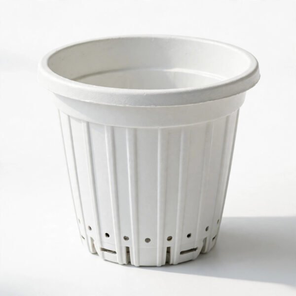 GDH 224(WHITE)