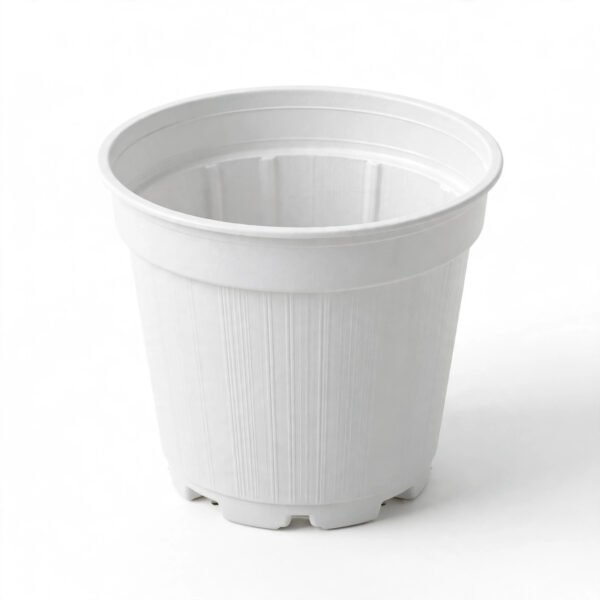 GDH204(WHITE)
