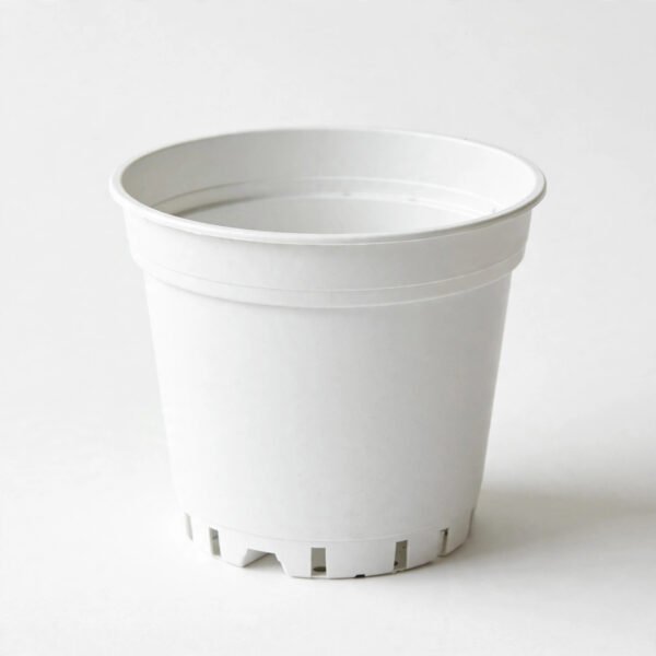 GDH3606 (WHITE)