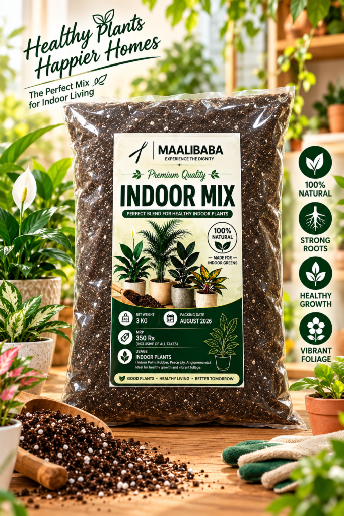 INDOOR MIXTURE 3KG