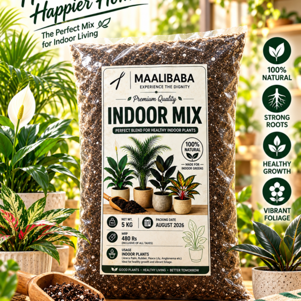 INDOOR MIXTURE 5KG