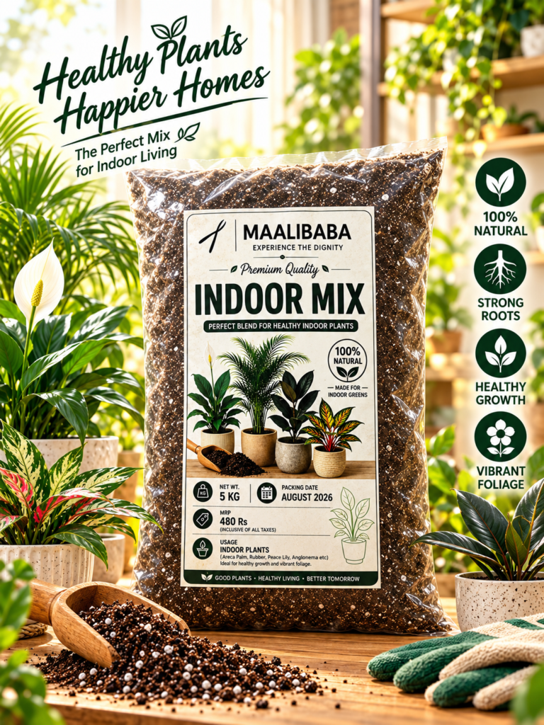 INDOOR MIXTURE 5KG