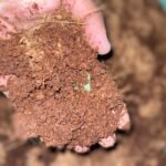 OUTDOOR MIXTURE 3KG
