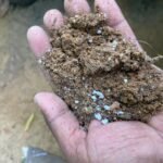 OUTDOOR MIXTURE 3KG