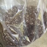 INDOOR MIXTURE 5KG