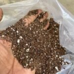 INDOOR MIXTURE 5KG