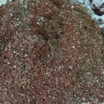 INDOOR MIXTURE 3KG